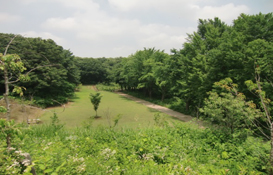 たっちほどがや:たちばなの丘公園